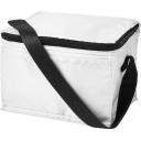 Image of Polyester (210D) rectangular cooler bag